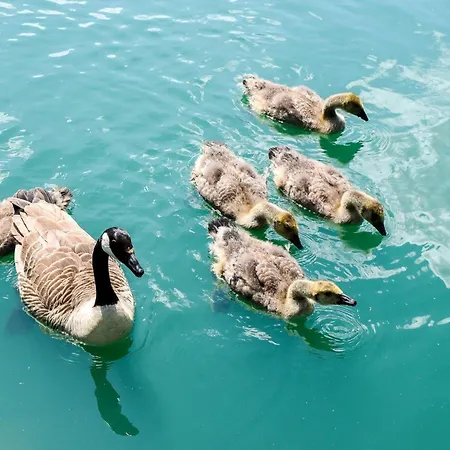 Lakefront 5 Star Country Park Private Fishing Free Parking S Casa de Férias